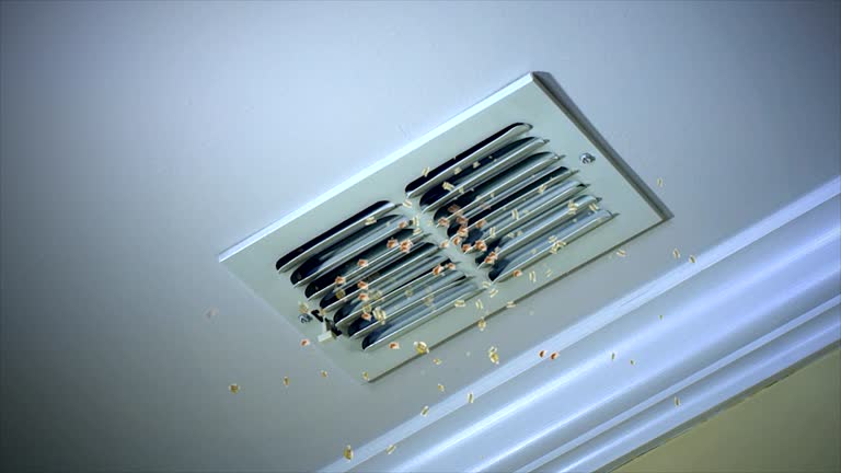 Best HVAC Air Duct Cleaning  in Lakewood Ranch, FL
